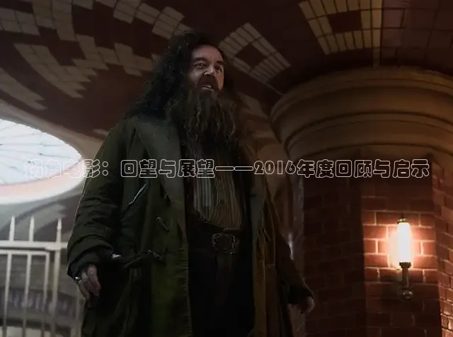 拐角电影：回望与展望——2016年度回顾与启示